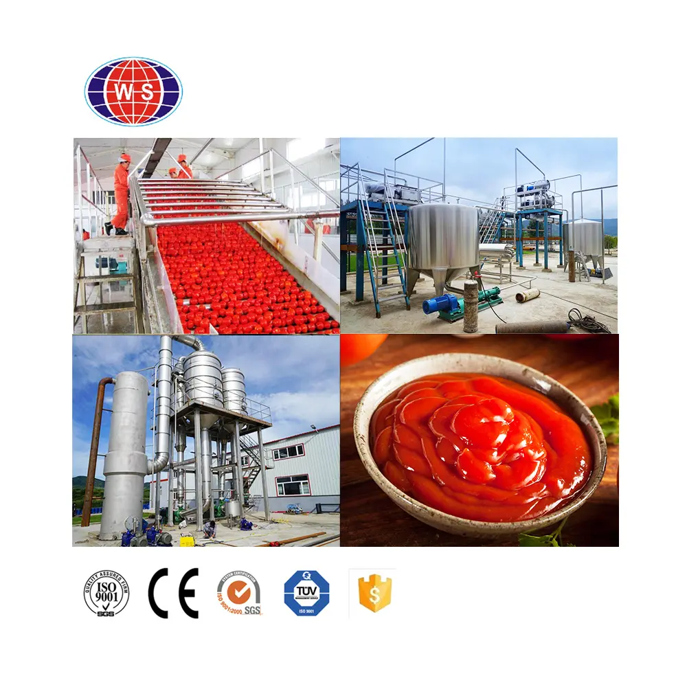 Máquina comercial para hacer pasta de tomate, línea de procesamiento