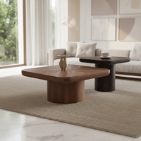 Table basse carrée en bois moderne de designer en vente chaude pour le salon, meubles de luxe pour la maison avec rangement et nettoyage facile