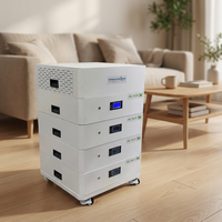 Pack de batteries LiFePO4 51.2V 314Ah empilable, système de stockage d'énergie ESS intégré et modulaire, onduleur solaire hybride 10-20KW