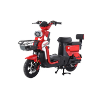 Nouveau vélo économique de 500 W - Alarme de sécurité à distance, moteur en cuivre pur, opportunité commerciale