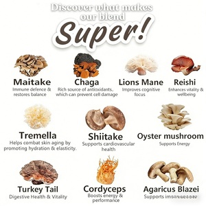 Wholesale 10-Mushroom Extract <b>Powder</b>, Organic <b>Body</b> Mushroom Blend Featuring Superfood Adaptogenic - Product Image 5