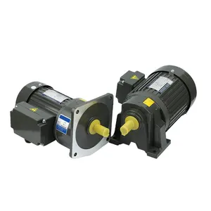 76mm 12v 24v 220v 50w 100w 150w 200w 250w 20N 고토크 DC 웜 기어 모터