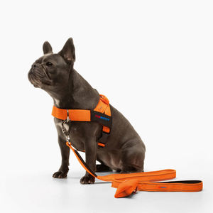 <span class=keywords><strong>Harnais</strong></span> extérieur pour <span class=keywords><strong>chien</strong></span> avec poignée de maintien <span class=keywords><strong>Harnais</strong></span> pour <span class=keywords><strong>chien</strong></span> avec anneau en D pour la randonnée et l'entraînement à la course - Product Image 3