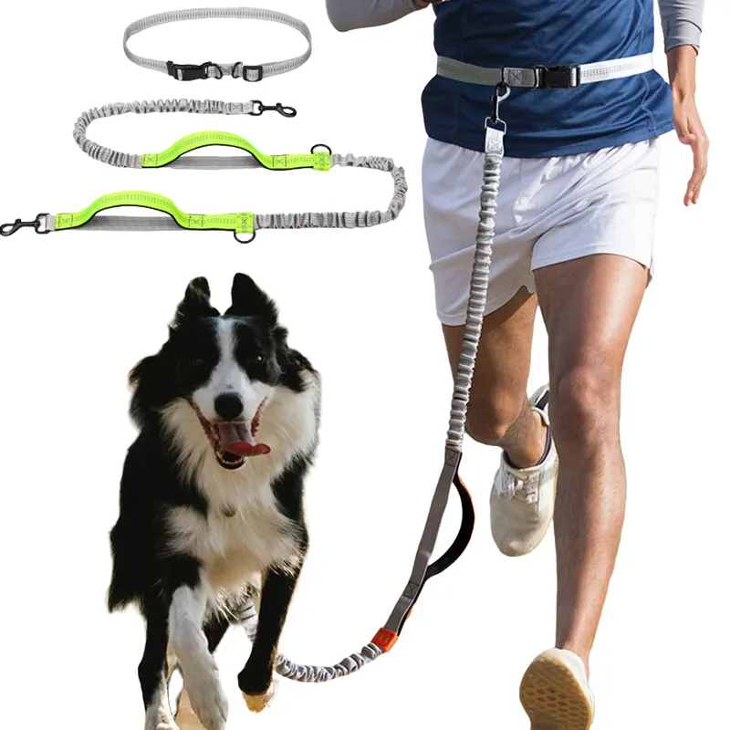 New Retractable Hands Free Traction Rope Puppy Running Dual Handle Bungee Reflective Leash For Large Medium Small Dogs