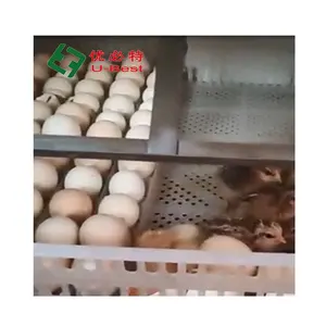 Горячая Распродажа Автоматическая куриная машина оборудование для птицеводства яичный инкубатор