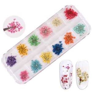 สติกเกอร์ติดเล็บลายดอกไม้แห้ง 12 สี กล่องลายลูกไม้ กลิตเตอร์ตกแต่งเล็บ อุปกรณ์ตกแต่งเล็บสำหรับทำเล็บ - Product Image 5