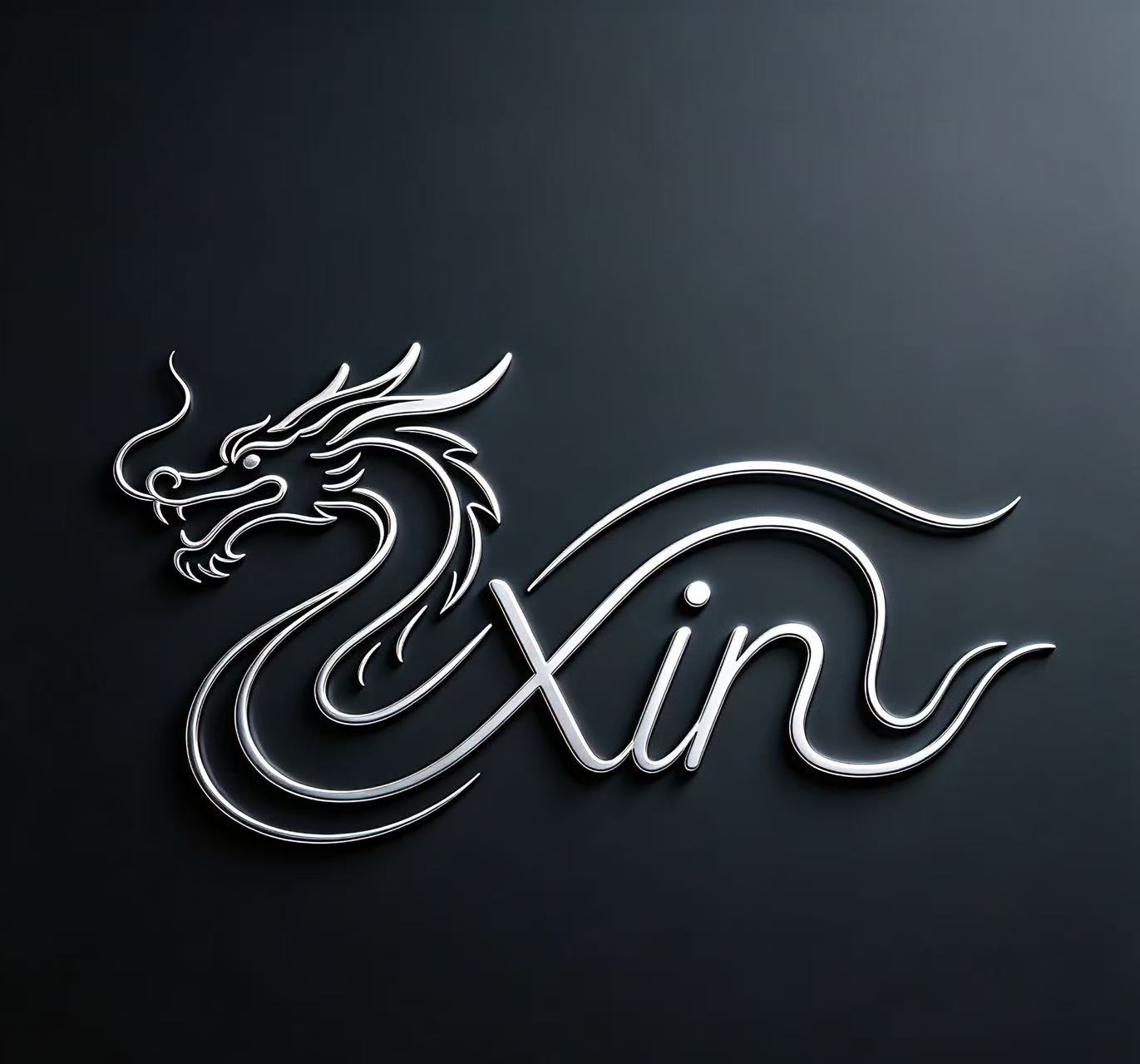 Henan Xinlong Amusement Equipment Co., Ltd. logo