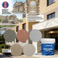 Peinture à base d'eau effet pierre véritable Revêtement texturé résistant aux intempéries Anti-taches Finition décorative pour murs extérieurs