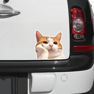 Outdoor <b>Sticker</b> All Weather Waterproof Durable Strong Adhesive No Residue Free Custom Fast Shipping Car <b>Sticker</b> for Outdoor Use - Product Image 2