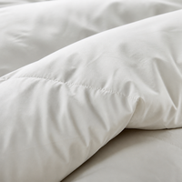 Couette en duvet de canard moelleux, garnie de plumes et de duvet, couette blanche pour lit, housse avec 8 languettes aux coins, insert de couette en duvet pour hôtel