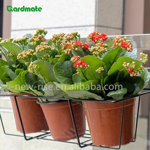 Ban Công Hộp Chủ Treo Hoa Chủ Cho Vườn Patio Hàng Rào gờ Hiên Hiên Ban Công Trong Nhà Ngoài Trời Trồng Treo Giỏ - Product Image 4