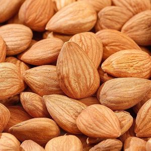 La Mandorla Riferisce alle Noci e alle Frutta Secca che Consumiamo. Sono ad Alta Secchezza e Contengono Abbondanti Oli. - Product Image 3