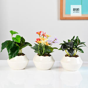 सिरेमिक प्यारा कार्टून पशु रसीला बर्तन हाथ से चित्रित ओपल पांडा व्यक्तिगत रचनात्मक बगीचे बर्तन - Product Image 3