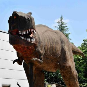 Pour les grands modèles de dinosaures animatroniques T-Rex Jurassic World grandeur nature de l'usine de dinosaures pour centre commercial Public et Playhouse - Product Image 1