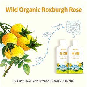 Bebida de Frutas y Verduras con Compuesto Enzimático de Rosa Roxburghii - Product Image 3