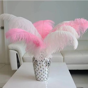 Vente en gros de plumes <span class=keywords><strong>d</strong></span>'<span class=keywords><strong>autruche</strong></span> magnifiques de 45-50 cm, pour la création de bijoux DIY, la <span class=keywords><strong>d</strong></span>écoration de mariage, la <span class=keywords><strong>d</strong></span>écoration de fête, la <span class=keywords><strong>d</strong></span>écoration de la maison, multicolores - Product Image 2