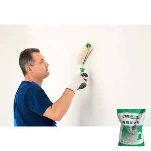 TOLN High Quality Healthy Interior Wall Putty For Interior Walls Of Building