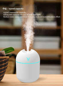 Humidificateur ultrasonique portable de 250 ml, mini, alimenté par USB-A, aromathérapie, lumière LED nocturne, couleur changeante, brume fraîche pour voiture, 1 an OEM - Product Image 3