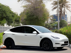 Modelo Y Long Range AWD 2023 de Tesla - Product Image 5