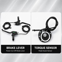 Kit de conversion de vélo électrique 48V 1500W avec moteur de moyeu de roue arrière, pneu large, pour neige et plage, kit roue libre à visser avec écran LCD