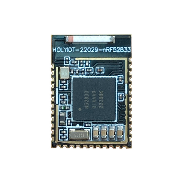 Holyiot Transceiver Receiver Low Energy Bluetooth Mesh Nordic NRF52833 Wireless BLE 5.3 Module
