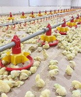 ZZ Éleveur Automatique Volaille Ferme Alimentaire Ligne D'alimentation Canard Dinde Poulet Gril Pan Feeder