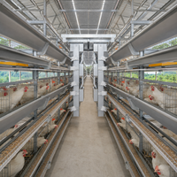 Grattoir à fumier de type H pour 10000-30000 poules, Afrique du Sud, Pretoria, qianmu, grande ferme, cage à poulets automatique