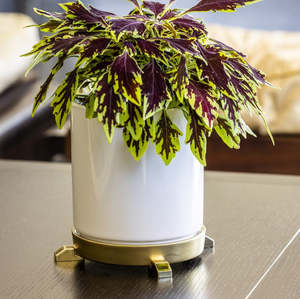 Pieds de pot de fleurs en alliage de <span class=keywords><strong>zinc</strong></span> plaqué de haute qualité, écologiques et durables, empêchent les marques d'eau pour les tables en bois, les rebords de fenêtre, le jardin et la maison - Product Image 6
