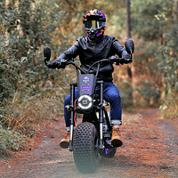 Motocicletas Cruiser 3000w Citycoco, Fabricante con Aprobación EEC COC, Dónde Comprar Scooter Eléctrico