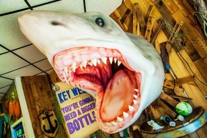Esculturas de Espuma Personalizadas para Exhibición de Café, Personajes de Espuma de Poliestireno para Eventos de Juegos, Delfín, Perro, Tiburón Gigante de Película, Tienda, Exterior - Product Image 5