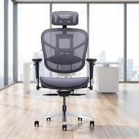 Chaise ergonomique en maille avec soutien lombaire, dossier réglable en hauteur, accoudoirs réglables, appui-tête, moderne, pour bureau/école/commercial