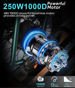Bicicleta eléctrica de carga con logotipo personalizado, potente herramienta eléctrica, 48v 15.6Ah+20Ah, baterías dobles, con cesta. - Product Image 5