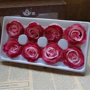 4-5cm importation fleurs naturelles fleurs stabilisés fleurs éternelles - Product Image 5