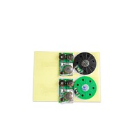 Module sonore élégant à bouton coulissant avec mécanisme vocal, puce audio enregistrable pour jouet éducatif, boîte cadeau, vente en gros