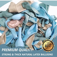 Kit d'arche de ballons bleu ciel poudré, guirlande de ballons blanc sable et or métallisé pour décorations de fête de naissance ou d'anniversaire de garçon