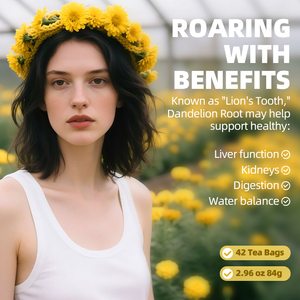 Tè Biologico alla Radice di Tarassaco per la Salute del Fegato, Anti-infiammatorio e Immunostimolante, Miscela <span class=keywords><strong>Naturale</strong></span> di Tè Medicinale Senza Glutine - Product Image 3