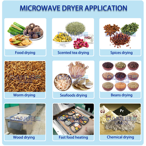 Línea de Secado de Gusanos de la Harina por Microondas a Precio de Fábrica, Equipo Deshidratador de Gusanos de la Harina, Secador de Gusanos de la Harina por Microondas - Product Image 4