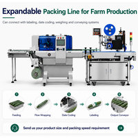 Volledig automatische verpakkingsmachine voor verse groenten, sla en vlees in trays