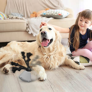 2025 Automatische Smart Moving Running Piramide Indoor Self-Play Speelgoedmuziek Nieuw Piepspeelgoed Voor Honden Levensechte Stijl Gemaakt Touw Tpr - Product Image 6