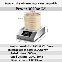 Machine à pains vapeur commerciale Zankang, modèle de comptoir, avec armoire d'alimentation automatique en eau, pour petit-déjeuner, dim sum et xiao long bao