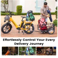 Bicicleta Eléctrica de Carga Voyager con Estándar Europeo, Batería de 250W 48V 15Ah, Neumáticos Gruesos de 20x4.0, Sensor de Torque y Freno Hidráulico