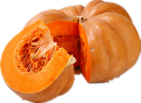 Pompoenpoeder Fabrikant Hete Verkopende Biologische Pompoenpoeder Bulk 10Kg
