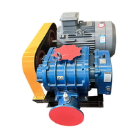 Souffleur Roots électrique à entraînement par courroie haute pression avec moteur AC pour générateur d'ozone, source de gaz, faible bruit, en fonte, personnalisable OEM