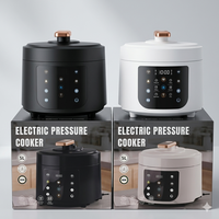 Cuisinière à pression électrique de haute qualité 5L 900W, marmite multifonction intelligente avec soupape de sécurité, cuiseur à riz numérique pour soupes