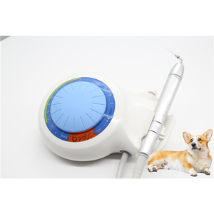 Best price mass supply Dental Piezo Ultrasonic Pet Toothwasher Scaler per cane - Product Image 4