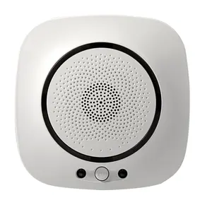 WiFi Gasalarm sensor Drahtlose Küche LPG Natural Remote Monitor Alarm Smart Gasleck Butan und Propangas Lecks ucher