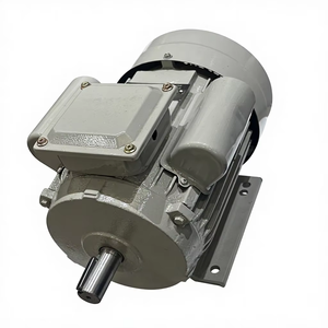 Motor Eléctrico de Inducción Simple de la Serie YC, 100% Cable de Cobre, 0.37kW, 220V, Eficiencia IE2, 50/60Hz, Certificado CCC/CE/ISO9001, IP44/IP54 - Product Image 1
