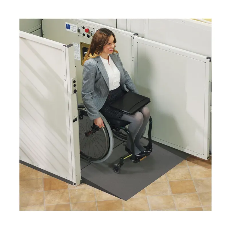 Residenziale ascensore ascensore 250kg piattaforma di sollevamento per portatori di handicap