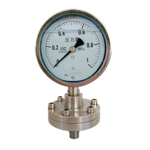 सभी स्टेनलेस स्टील थ्रेडेड प्रकार डायाफ्राम सील दबाव गेज - Product Image 3