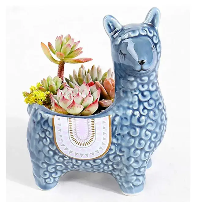 Potes de alpaca suculentas bonsai, 6 polegadas, jardins internos e cacti, decoração de animais de cerâmica